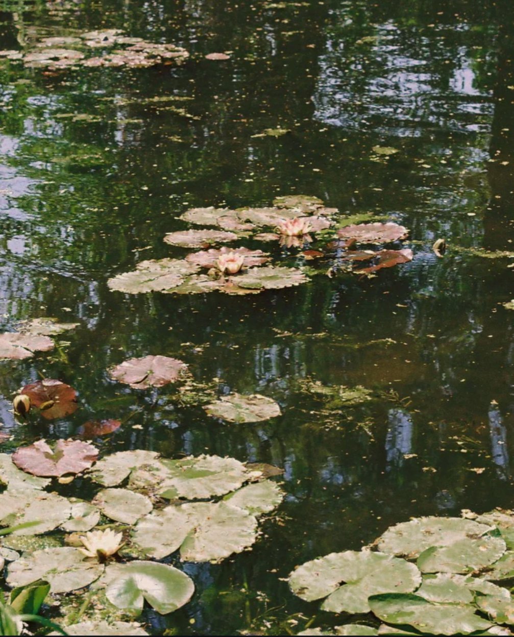 Frame 6 from Film, so far