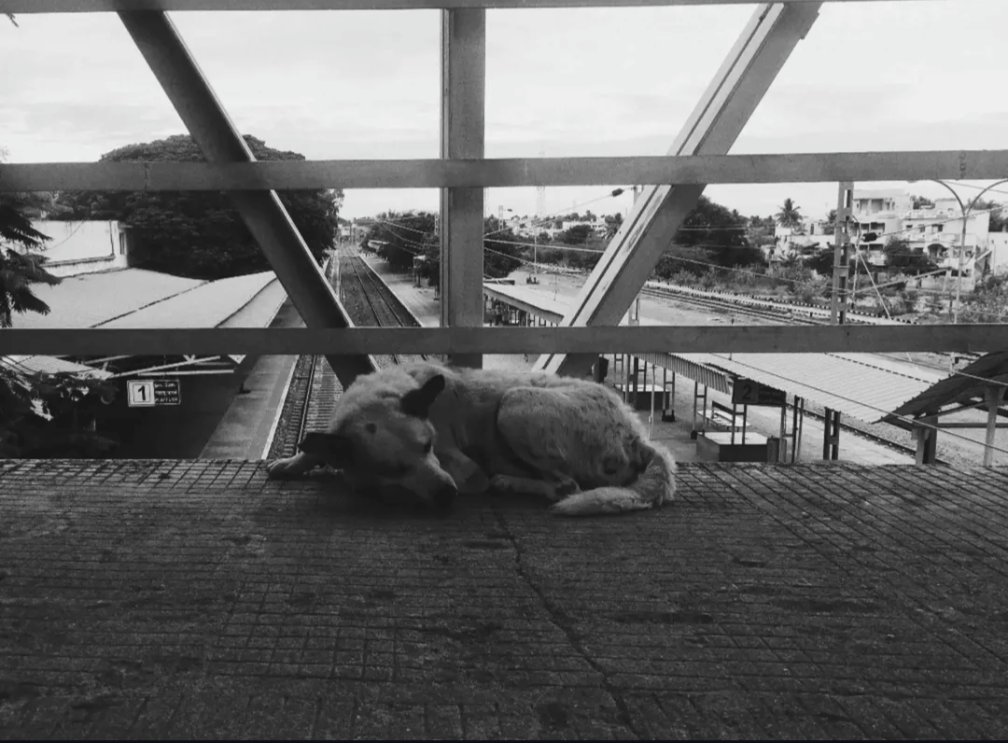 Frame 10 from Film, so far